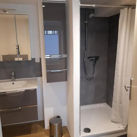 Harzwunder 公寓 巴特哈尔茨堡