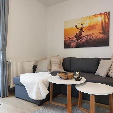 Harzwunder 公寓 巴特哈尔茨堡